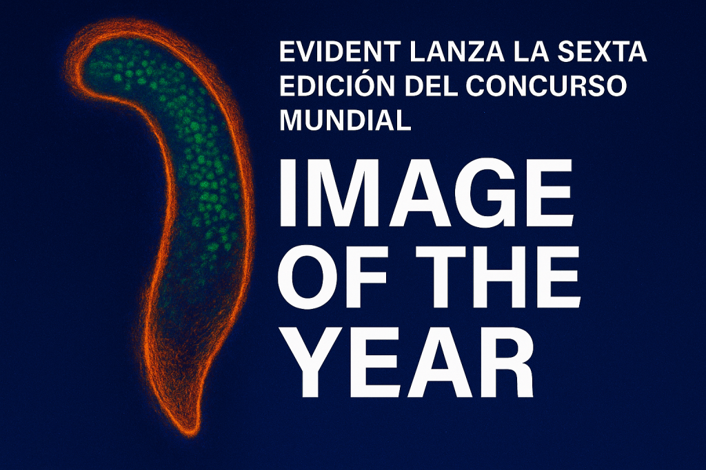 Evident lanza la sexta edición del concurso mundial “Image of the Year”