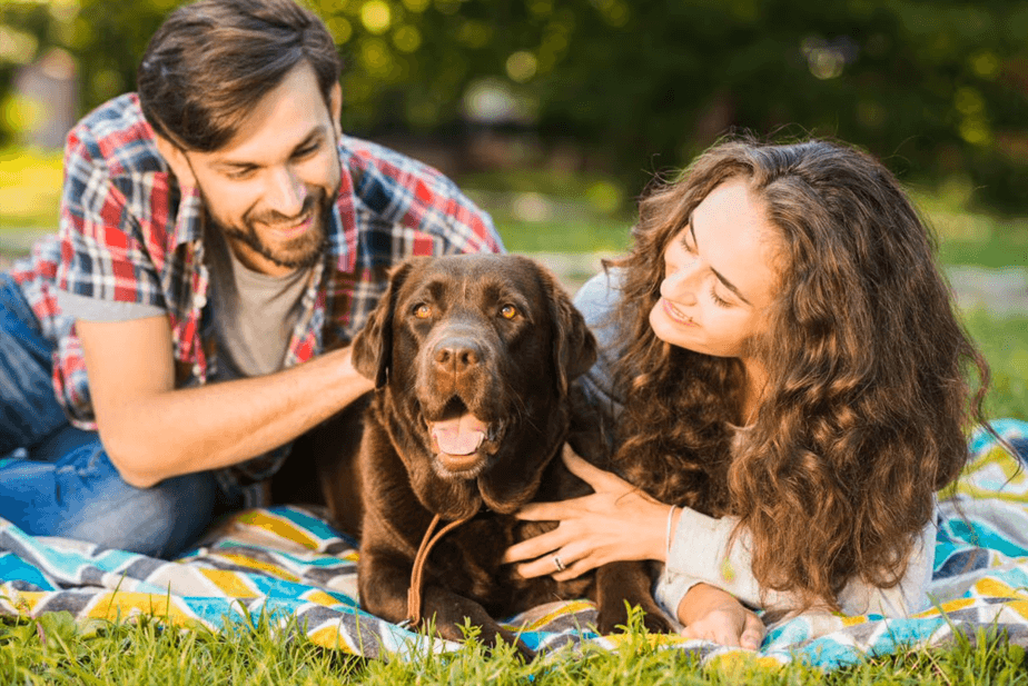 Expertos internacionales actualizan recomendaciones de vacunación para perros y gatos con un enfoque preventivo personalizado