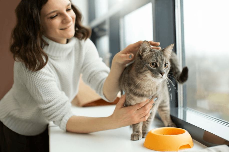Día Internacional del Gato: Especialistas alertan sobre la baja prioridad que reciben las vacunas en el cuidado de los felinos en México
